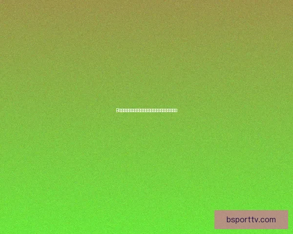 B体育官方入口：全新平台带来极致体育体验与创新服务